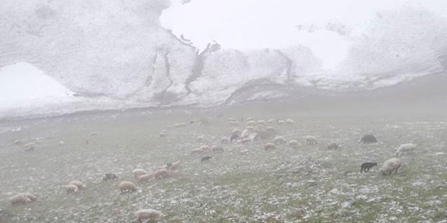 Bayburt - Trabzon arasındaki yaylalarda kar yağdı