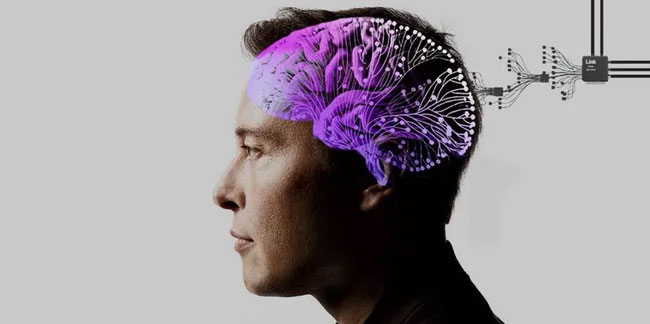 Elon Musk'un beyin çipi şirketi klinik deneye başlıyor!