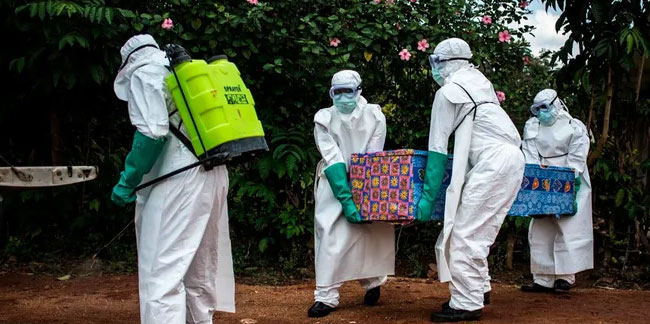 Ebola kabusu geri döndü: Ölümler artıyor