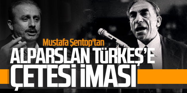 Mustafa Şentop'tan Alparslan Türkeş'e ''çeteci'' iması