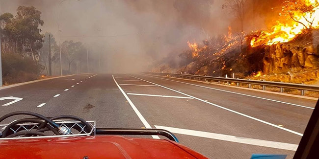Avustralya’da orman yangını: 10 ev küle döndü