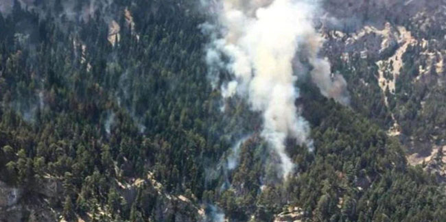 Mersin'de korkutan orman yangını: Karadan ve havadan müdahale ediliyor