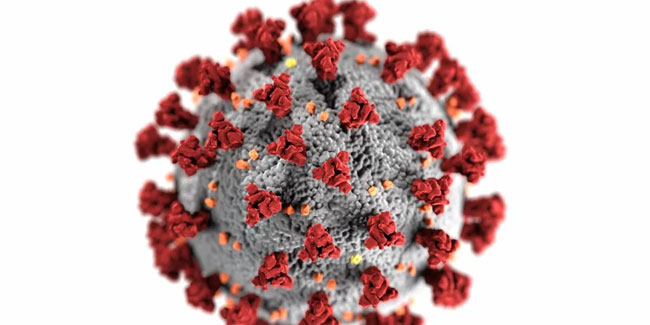Yeni koronavirüs mutasyonu ne anlama geliyor?