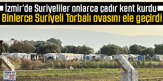 İzmir’de Suriyeliler onlarca çadır kent kurdu. Binlerce Suriyeli Torbalı ovasını ele geçirdi