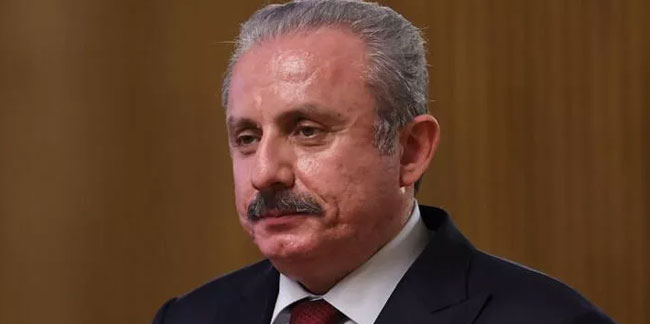 Mustafa Şentop: Cumhurbaşkanımız 'kaçmak' fiiliyle yan yana konulabilecek son kişidir