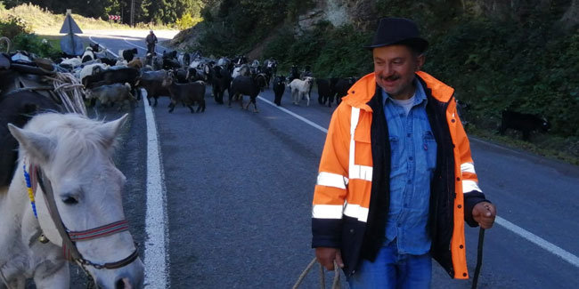 Trabzon’da yaylacılar köylerine dönmeye başladı