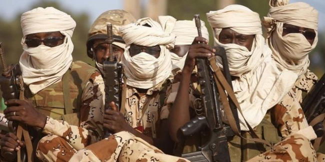 Nijerya'da 22 Boko Haram üyesi etkisiz hale getirildi