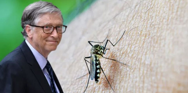 Bill Gates yine gündemde! Bu kez genetiği değiştirilen sivrisinekler..