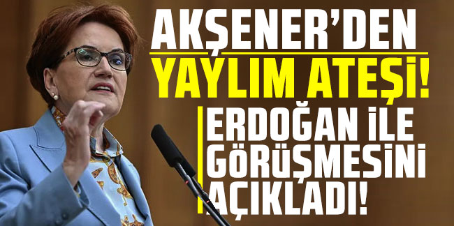 Meral Akşener'den yaylım ateşi! Erdoğan ile görüşmesini açıkladı