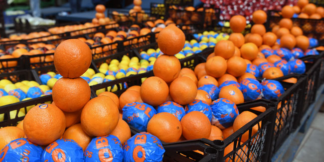 Ankara'da portakal satışı rekor kırdı 