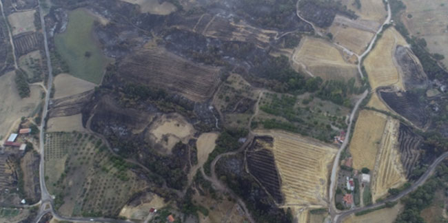 Çanakkale'de 3 gündür yanan bölge havadan görüntülendi!