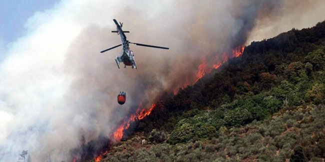 İtalya'da orman yangınları: 400 hektar alan kül oldu