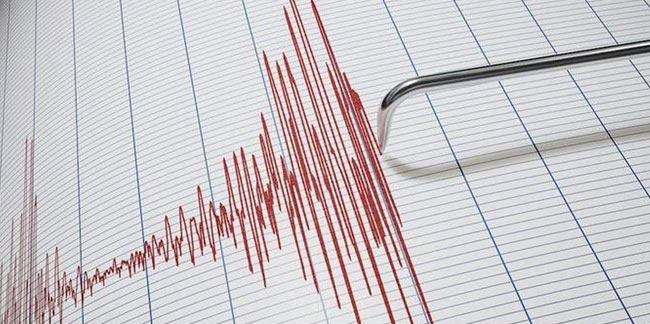 Japonya'da korkutan deprem: Beşik gibi sallandı