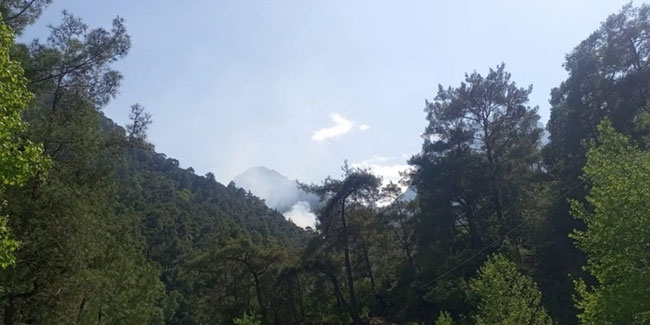 Antalya'daki korkutan orman yangını kontrol altına alındı