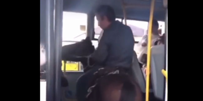 Kars'ta sıradan bir gün: Atıyla otobüse binmeye çalıştı