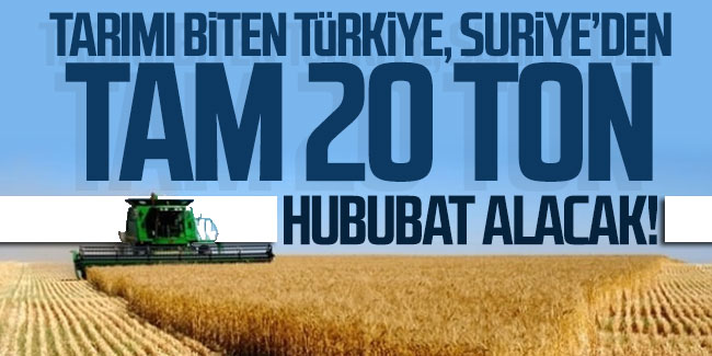 Türkiye Suriye'den 20 ton hububat alacak!