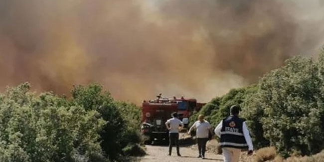 Bir orman yangını haberi daha! Rüzgar nedeni ile alevler yayıldı