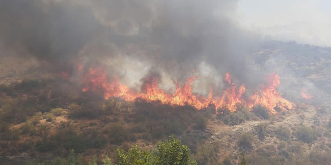 KKTC’deki orman yangınıyla mücadele devam ediyor