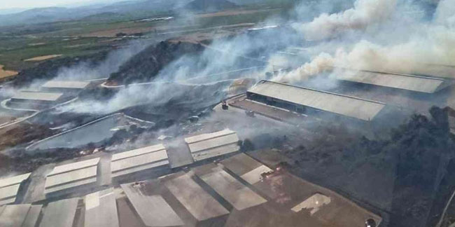 İzmir'de korkutan orman yangını: Karadan ve havadan müdahale sürüyor