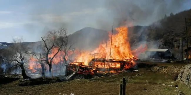 Şavşat’taki yangında 4 ev, 4 ahır ve 4 samanlık yandı!