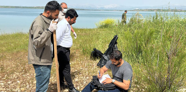 Atatürk Barajı'ndaki martı ölümleri inceleme altında