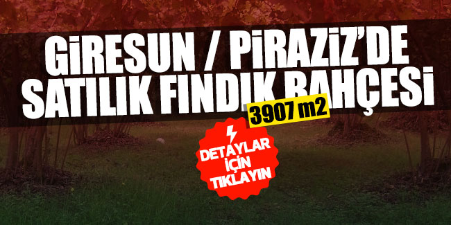 Giresun/Piraziz'de 3907 m² fındık bahçesi icradan satılıktır