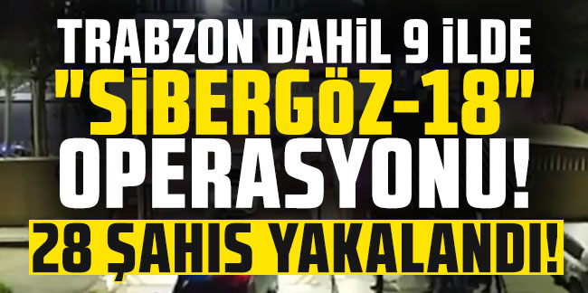 Trabzon dahil 9 ilde "Sibergöz-18" operasyonu! 28 şahıs yakalandı!