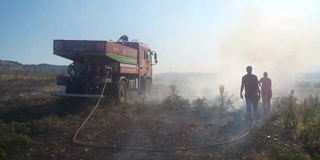 Bingöl’de 2 köyde çıkan yangın söndürüldü 