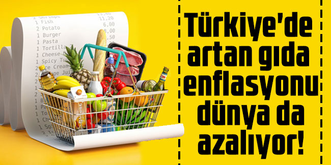 Türkiye'de artan gıda enflasyonu dünya da azalıyor!