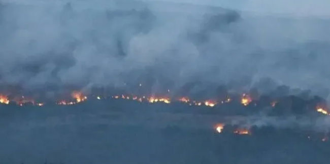 Bulgaristan'da orman yangını: Edirne'nin sınır köylerine dayandı