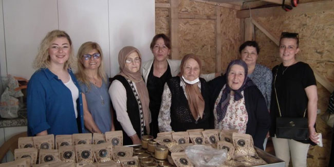 Girişimci kadınlar fındık işleme tesisi açtı
