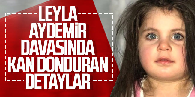 Leyla Aydemir davasında kan donduran detaylar!