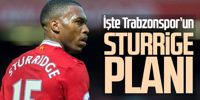 İşte Trabzonspor'un Sturridge planı! 