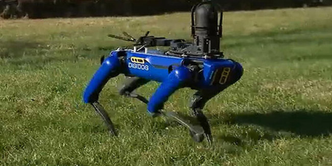 Robot köpek Digidog artık kullanılamayacak: Propagandaya kurban gitti