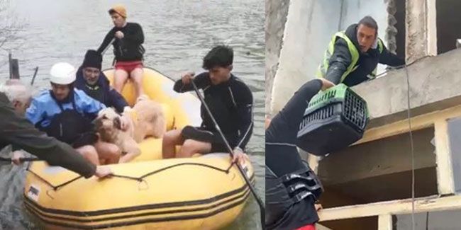 Sokak hayvanları bot yardımıyla kurtarıldı