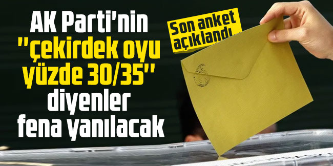 Son anket açıklandı; AK Parti'nin ''çekirdek oyu yüzde 30/35'' diyenler fena yanılacak