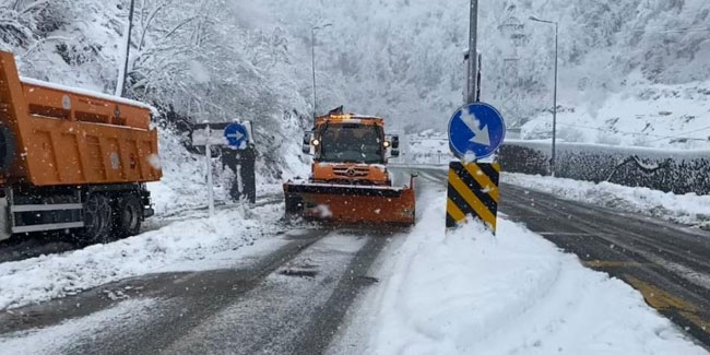 Artvin'de kar yağışı Hopa-Borçka karayolunu olumsuz etkiledi