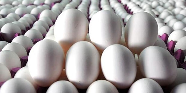 Koronavirüs yumurta tüketimini arttırdı