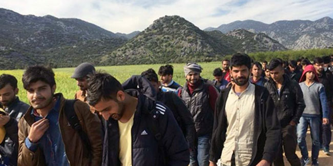 Alaattin Aktaş: Afganlara göz yumma sebebi iş gücü ihtiyacı mı?