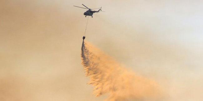 Datça'da orman yangını! Ekiplerin müdahalesi sürüyor