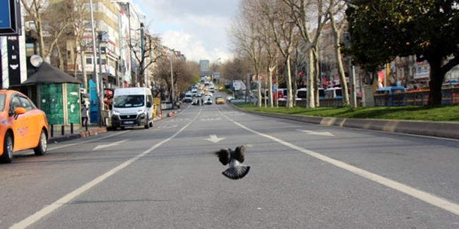 İstanbul'da yollar boşaldı, Toplu taşımayı kullananlar azaldı