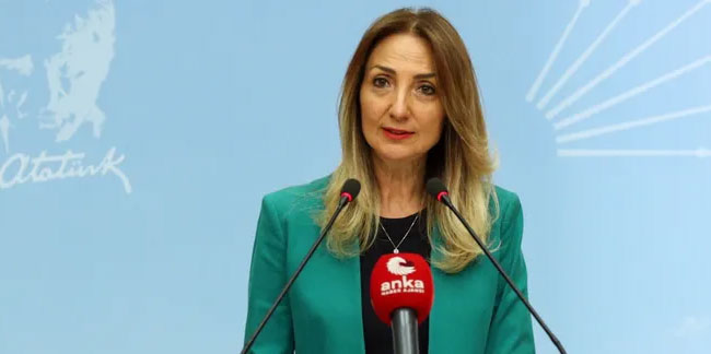 CHP'li Aylin Nazlıaka, parti içinde yeni bir tartışma başlattı