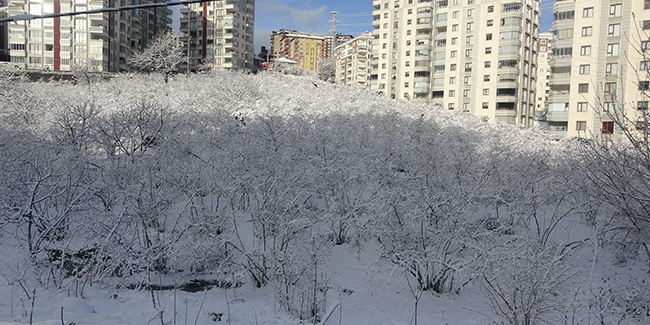 Trabzon’da kar yüksek kesimlerde etkili oldu
