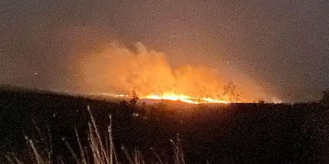 Bulgaristan'ın Türkiye sınırında orman yangını