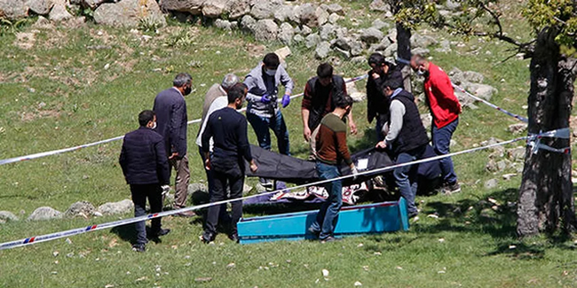 Ankara'da ayı saldırısı! 60 yaşındaki kadın öldü