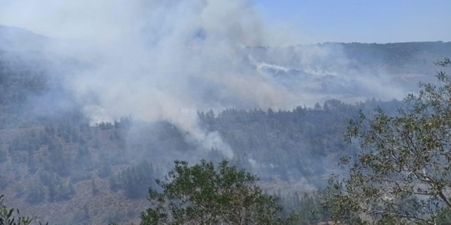 Kuzey Kıbrıs'ta orman yangını