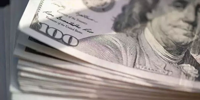 ABD'li bankadan dolar tahmini: 30 liraya gerileyecek!