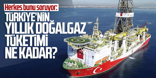 Herkes bunu soruyor: Türkiye'nin yıllık doğalgaz tüketimi ne kadar?