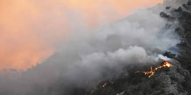Orman yangınlarında son durum: Yangına 4 ilde, 9 noktada müdahale!