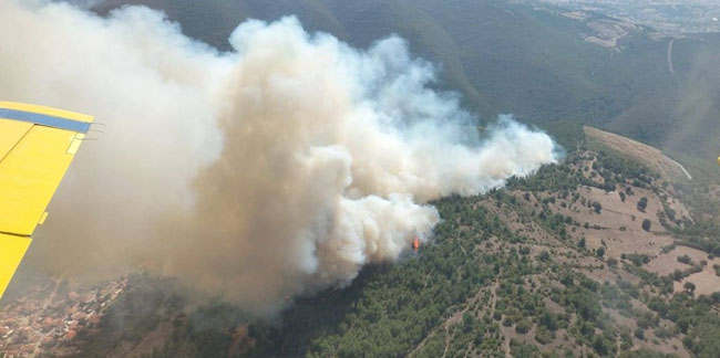 Balıkesir'de korkutan orman yangını: Ekipler müdahale ediyor